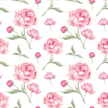 Kusursuz şakayık deseni. Suluboya pembe şakayıklar. Ev yapımı. Kumaş için baskı. Albüm koleksiyonu. Kumaş. Narin çiçek deseni, bahar. Mayıs. Şakayıklar çiçek açıyor.