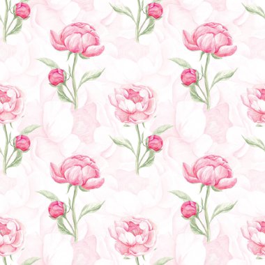 Kusursuz şakayık deseni. Suluboya pembe şakayıklar. Ev yapımı. Kumaş için baskı. Albüm koleksiyonu. Kumaş. Narin çiçek deseni, bahar. Mayıs. Şakayıklar çiçek açıyor.