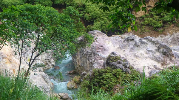 Río Termal Con Hermosos Árboles Verdes —  Fotos de Stock