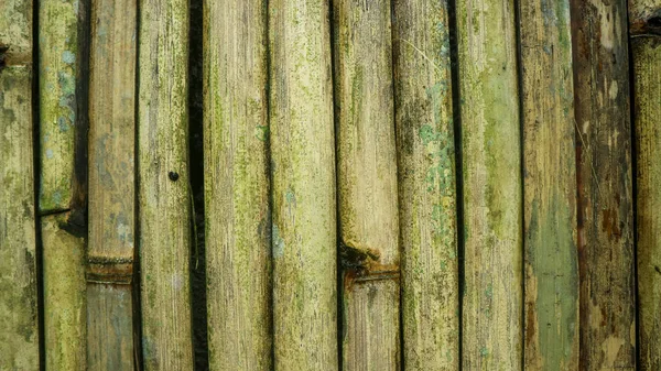 Mossy Bambu Staket Som Bakgrund — Stockfoto