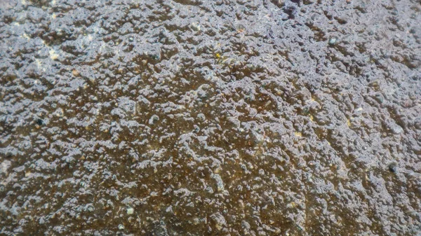 Pietra Pavimento Texture Come Sfondo — Foto Stock