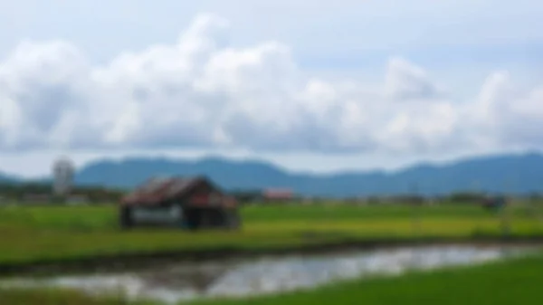 cabin in the middle of rice fields surrounded by hills