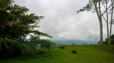 Bulutlu gökyüzü, ağaçlar, dağlar ve tepeden çekilen evler.