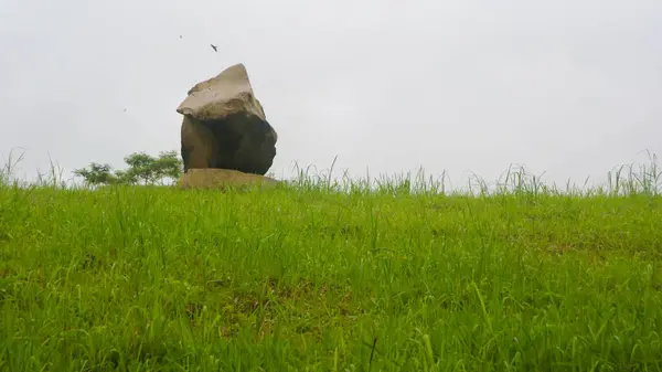 Uspořádané Kameny Nahromaděné Krásné Zelené Trávě — Stock fotografie