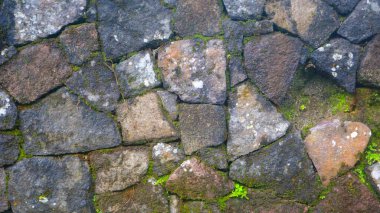 Arkaplan olarak yosunlu taş duvar
