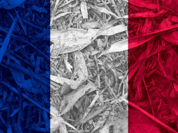 Francês Bandeira Textura Como Fundo — Fotografia de Stock