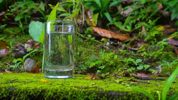 Kaca Dengan Air Pada Latar Belakang Tanaman Hijau — Stok Foto