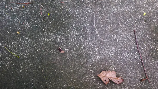 乾燥した葉が付いている具体的な道の質 — ストック写真