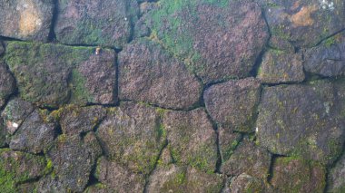 Arkaplan olarak yosunlu taş duvar