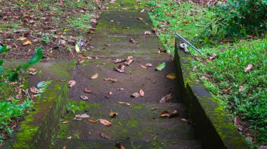 Yaprakları dökülmüş yosunlu beton merdivenler