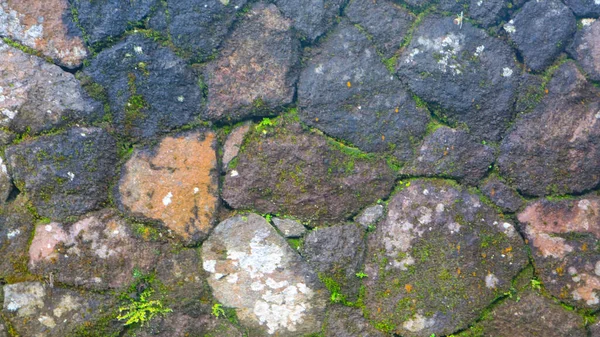 Mossy Πέτρινο Τοίχο Φόντο — Φωτογραφία Αρχείου