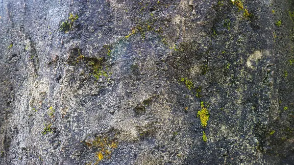 Каменная Бетонная Текстура Качестве Фона — стоковое фото