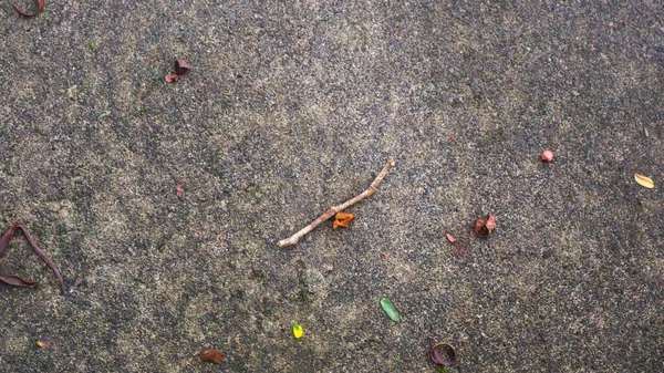 Düşen Yapraklarla Beton Yol Dokusu — Stok fotoğraf
