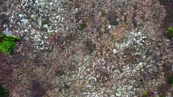 Mossy Stone Texture Background — Stock Photo, Image