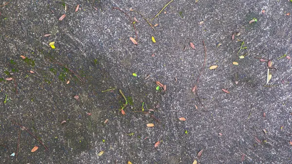 Straßenstruktur Aus Beton Mit Trockenen Blättern — Stockfoto