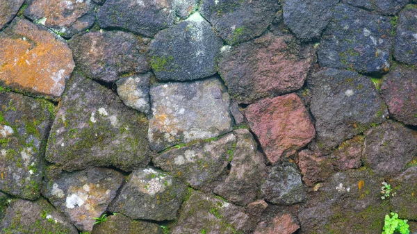 Mossy Stenvägg Som Bakgrund — Stockfoto