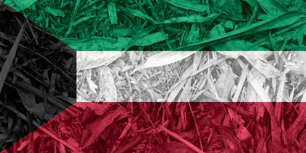 Kuwait Flagge Textur Als Hintergrund — Stockfoto