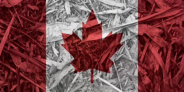 Arkaplan Olarak Kanada Bayrağı Dokusu — Stok fotoğraf