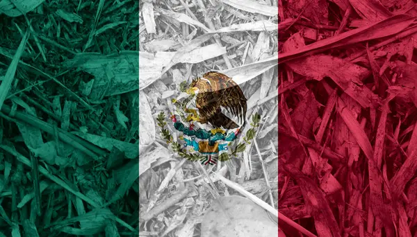 作为背景的墨西哥国旗纹理 — 图库照片