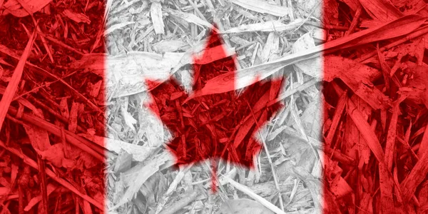 Canada Bandeira Textura Como Fundo — Fotografia de Stock