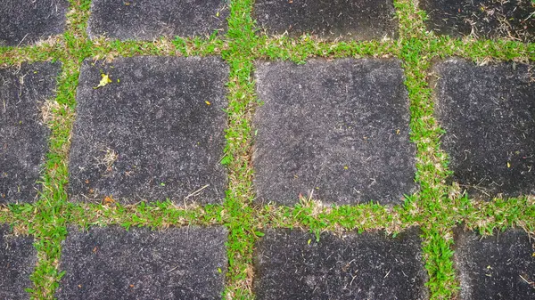 Betonblok Weg Met Groen Gras Ertussen Als Achtergrond — Stockfoto