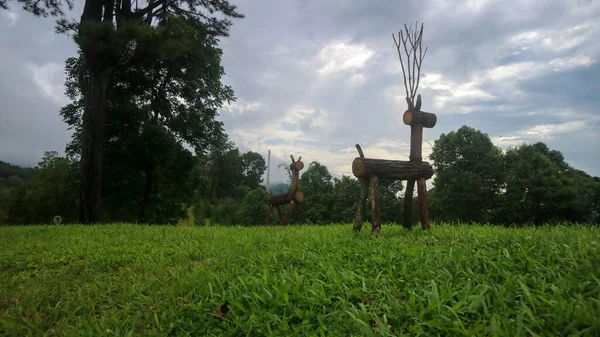 美しい庭で素晴らしい木製の鹿 — ストック写真