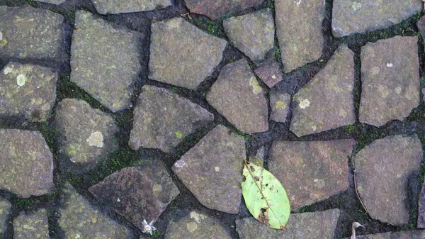 Каменная Тропа Опавшими Листьями Фон — стоковое фото