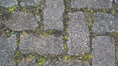 arkaplandaki boşluklarda yabani otlarla blok dokusu oluşturuluyor