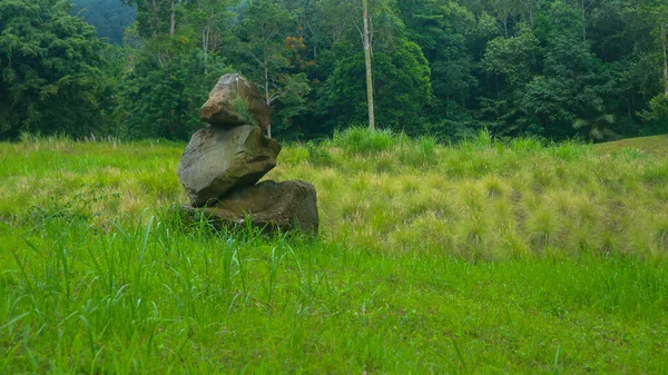 Gerangschikte Stenen Opgestapeld Een Prachtig Groen Gras — Stockfoto