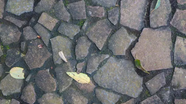 Stenen Pad Met Gevallen Bladeren Als Achtergrond — Stockfoto