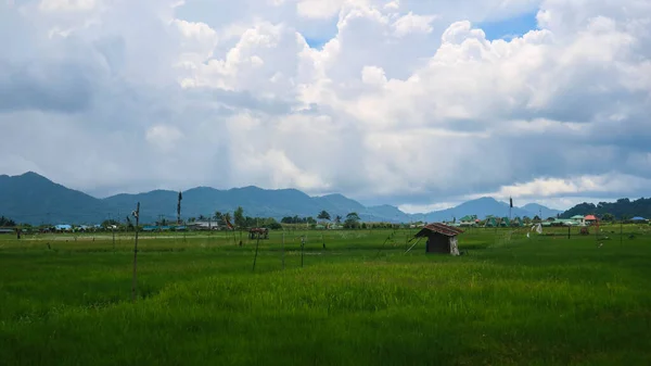 cabin in the middle of beautiful rice fields with cloudy skies