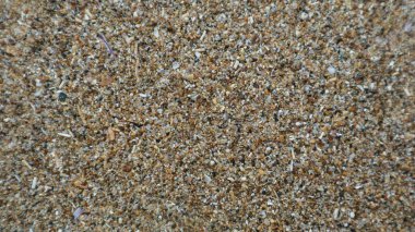 Arkaplan olarak kumun detaylı yüzey dokusu