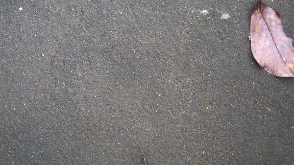 Textura Estrada Concreto Com Folhas Caídas — Fotografia de Stock