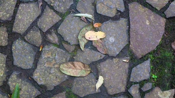 Steinweg Mit Abgefallenen Blättern Als Hintergrund — Stockfoto