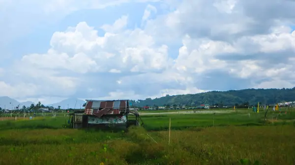cabin in the middle of beautiful rice fields with cloudy skies