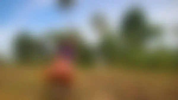 Blurred Children Playing Corn Farm — Stock Photo, Image