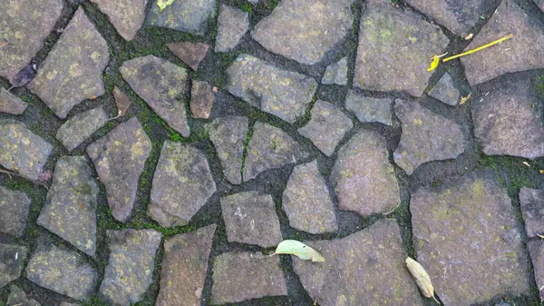 落葉した石の道 背景として — ストック写真