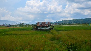 Gökyüzü bulutlu güzel pirinç tarlalarının ortasında bir kulübe.