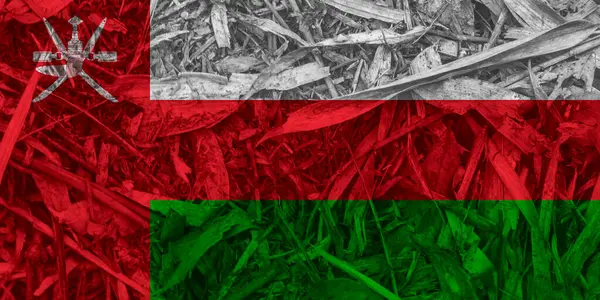 Oman Flag Texture Background — Stock Photo, Image