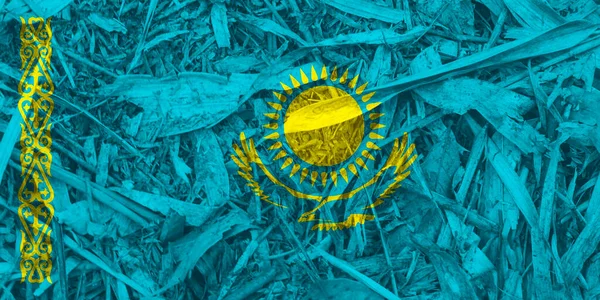 Arkaplan Olarak Kazakistan Bayrak Dokusu — Stok fotoğraf