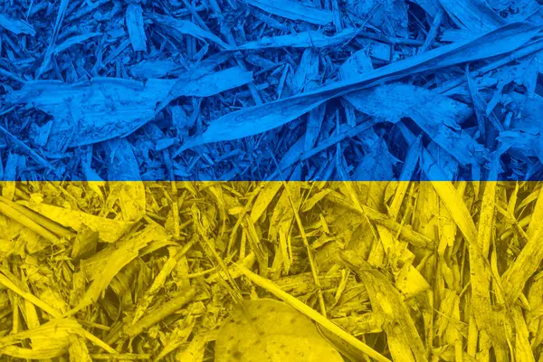 Ουκρανική Σημαία Υφή Φόντο — Φωτογραφία Αρχείου