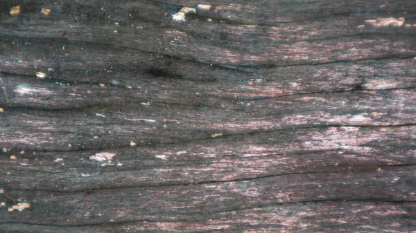 Текстура Дерева Выцветшей Краской Заднем Плане — стоковое фото