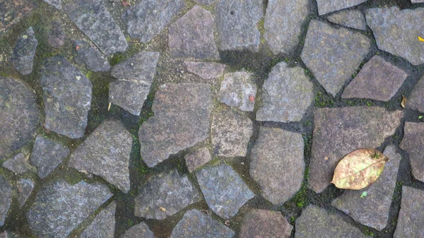 Caminho Pedra Com Folhas Caídas Como Fundo — Fotografia de Stock