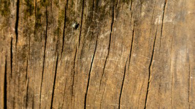 Arkaplan olarak eski ahşap doku