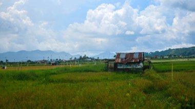 Gökyüzü bulutlu güzel pirinç tarlalarının ortasında bir kulübe.