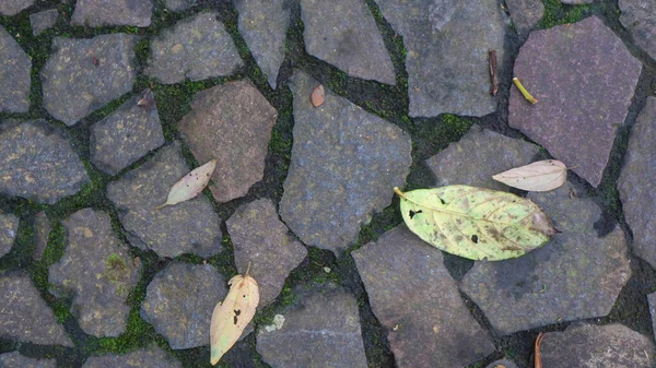 Stenen Pad Met Gevallen Bladeren Als Achtergrond — Stockfoto