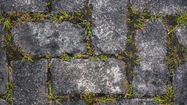 arkaplandaki boşluklarda yabani otlarla blok dokusu oluşturuluyor