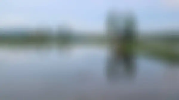 blurred cabin in the middle of the rice fields reflected in the water