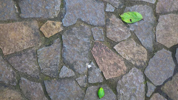 Kamienna Ścieżka Opadłymi Liśćmi Jako Tło — Zdjęcie stockowe