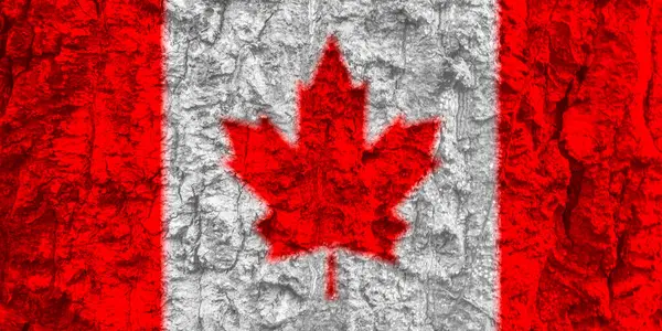 Canada Vlag Textuur Als Achtergrond — Stockfoto